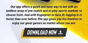 Click the DOWNLOAD NOW button