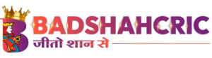 Badshahcric logo