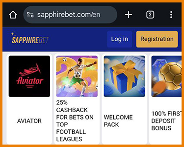 Open the website